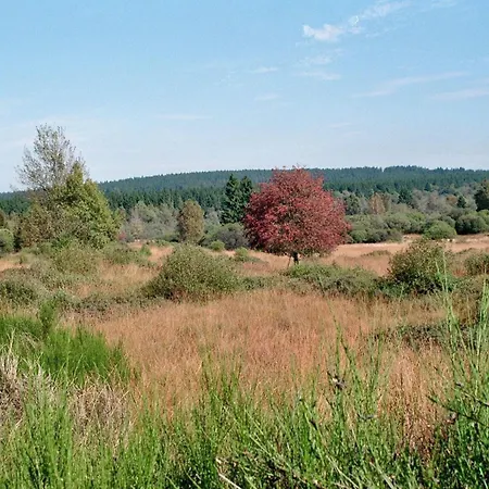 아파트 Zimmermanns 2 몬샤우