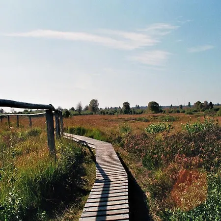 Zimmermanns 2 モンシャウ