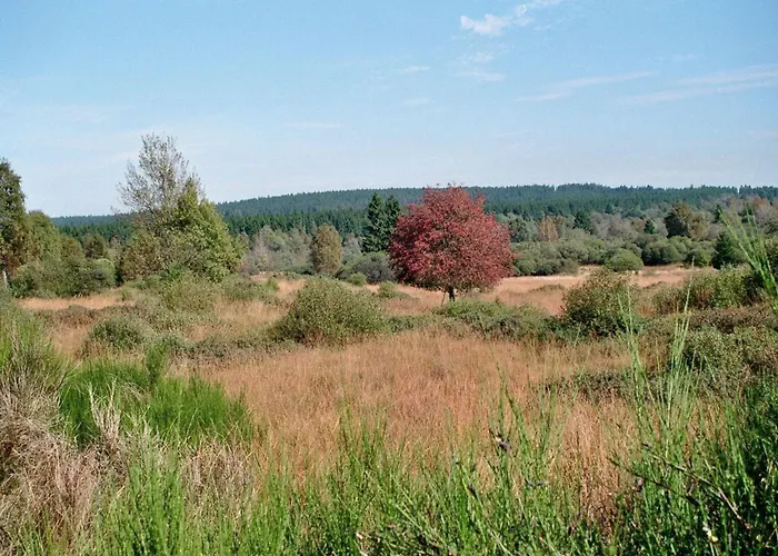 아파트 Zimmermanns 2 몬샤우