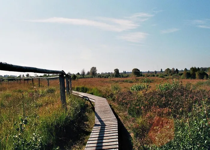 Zimmermanns 2 몬샤우